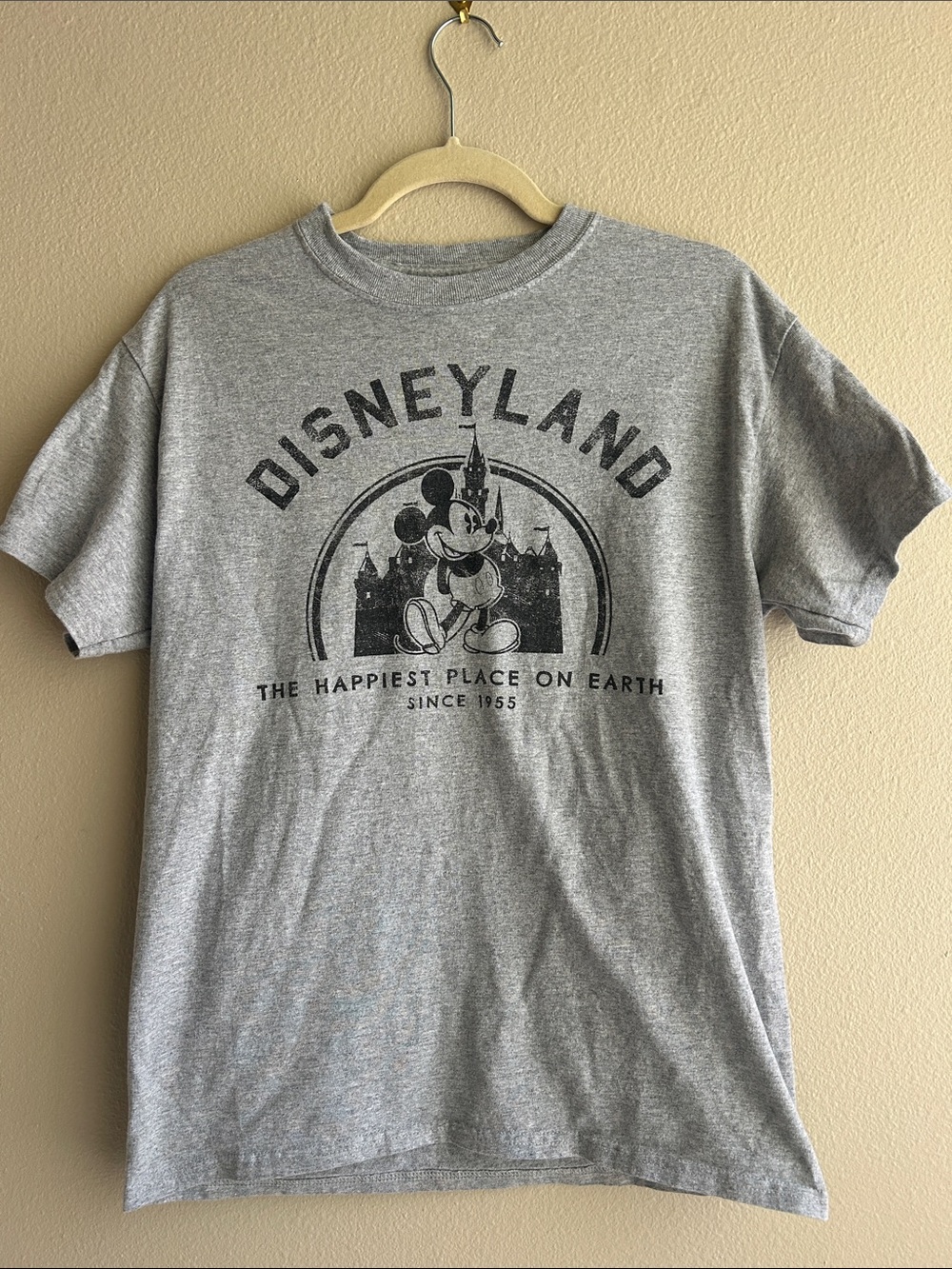Disneyland Resort tee